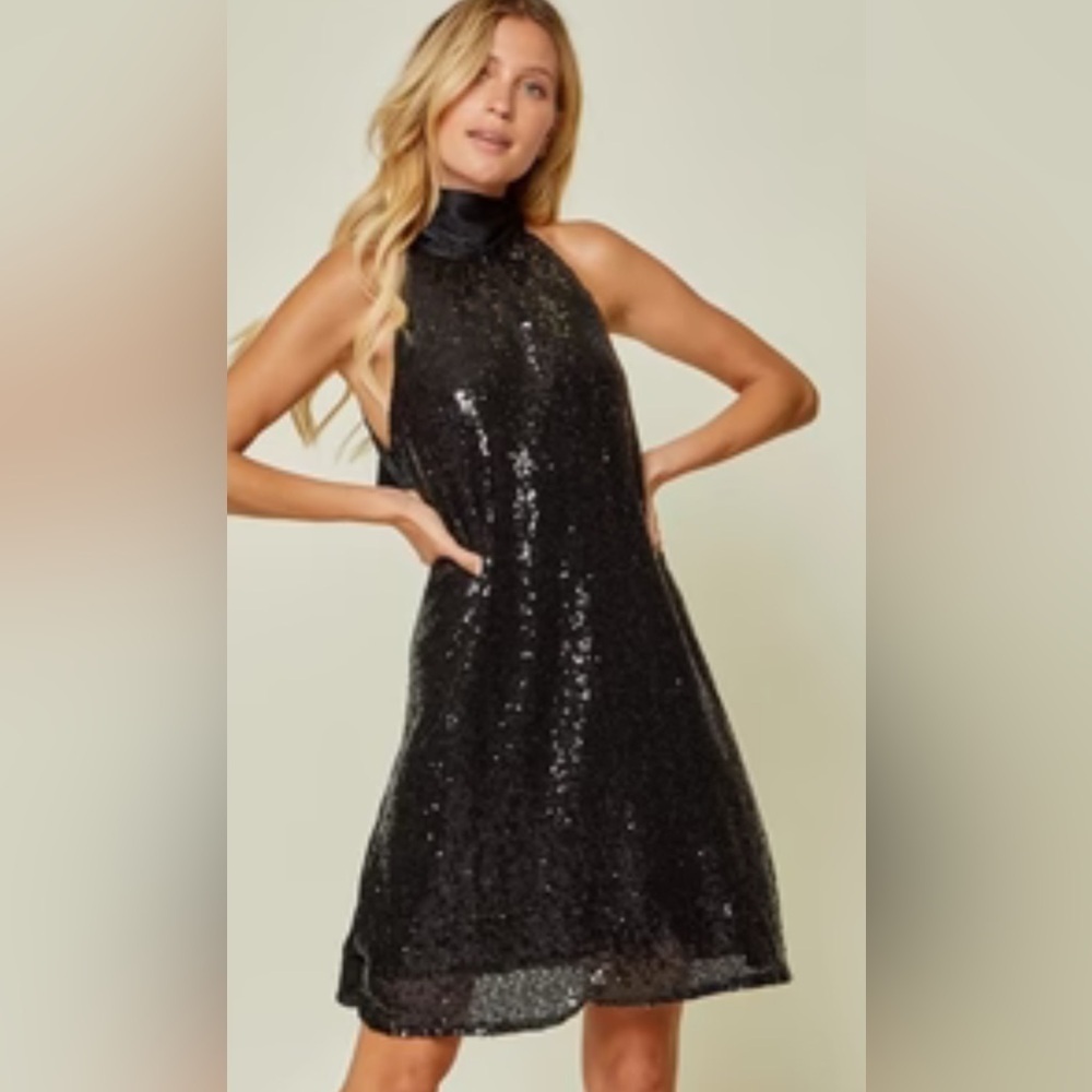 🖤Andrée by Unit high neck Black Dress with Sequins size 2X - Picture 5 of 13